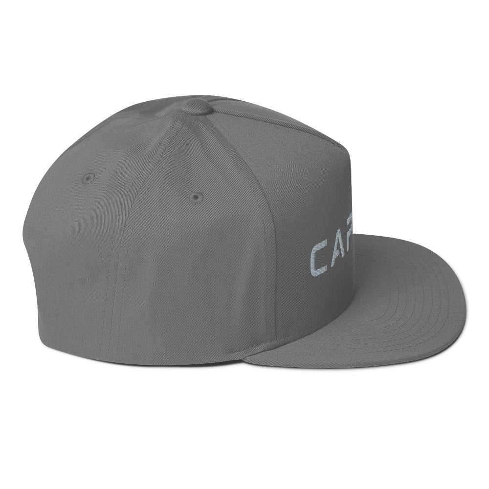 FlexFit Performance Cap