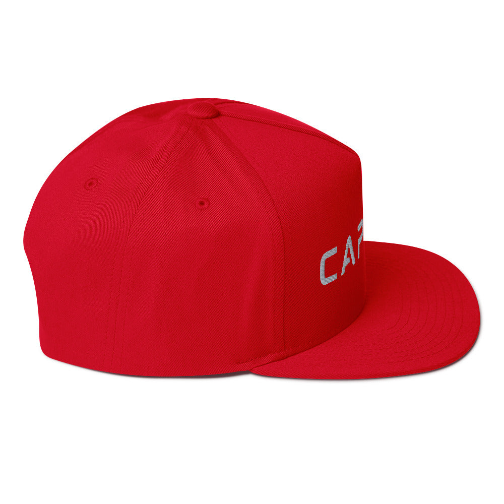FlexFit Performance Cap